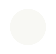 white29