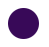 plum04