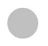 silvergray3000