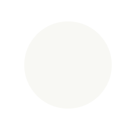white29
