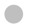 silvergray3000